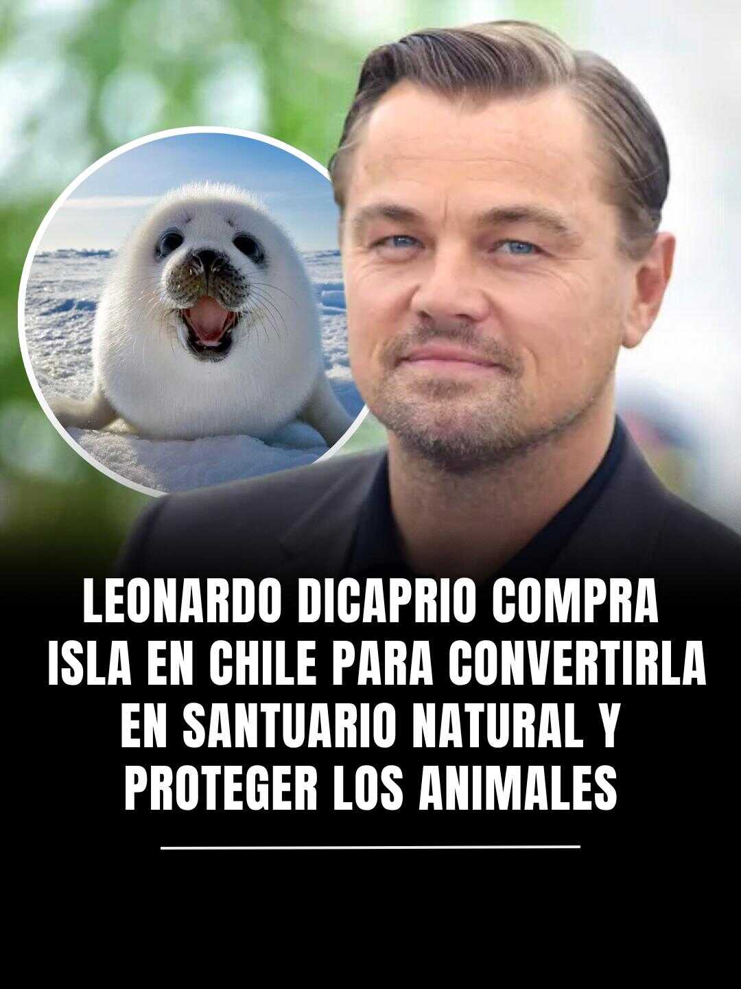 Leonardo DiCaprio compra una isla en Chile para convertirla en santuario natural y proteger los animales...Ver más