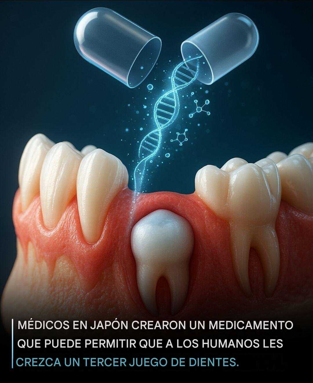 ¡Los humanos pronto podrán recuperar los dientes perdidos... Ver más