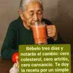 Jugo de Tomate y Ajo: Receta Natural para Vitalidad y Bienestar Diario 11 242