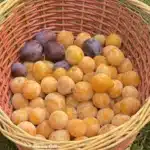 El Poder de Amén: Abundancia Verdadera y Vida Próspera 10 268