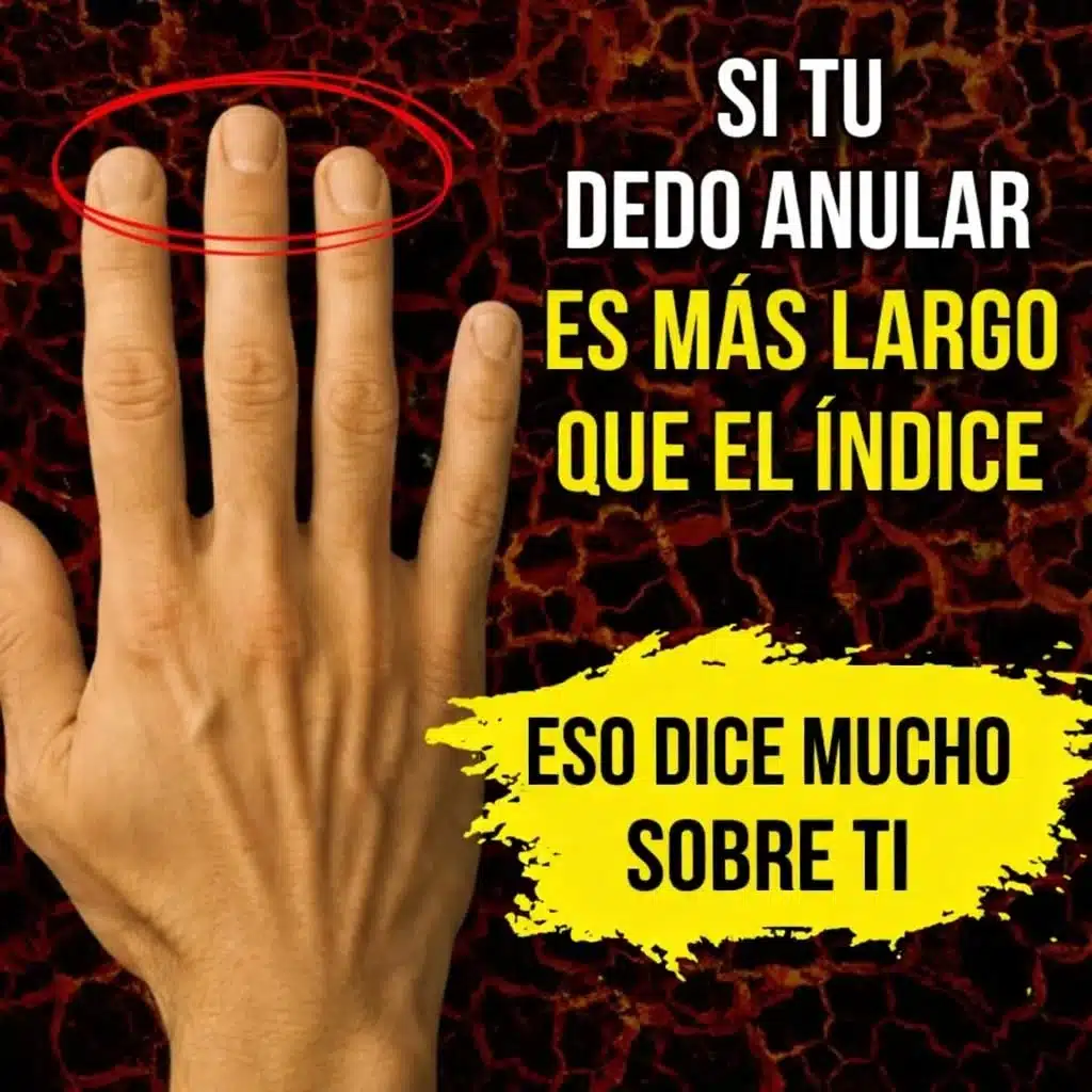 Mira tu dedo anular y descubre qué puede revelar sobre ti... Ver más