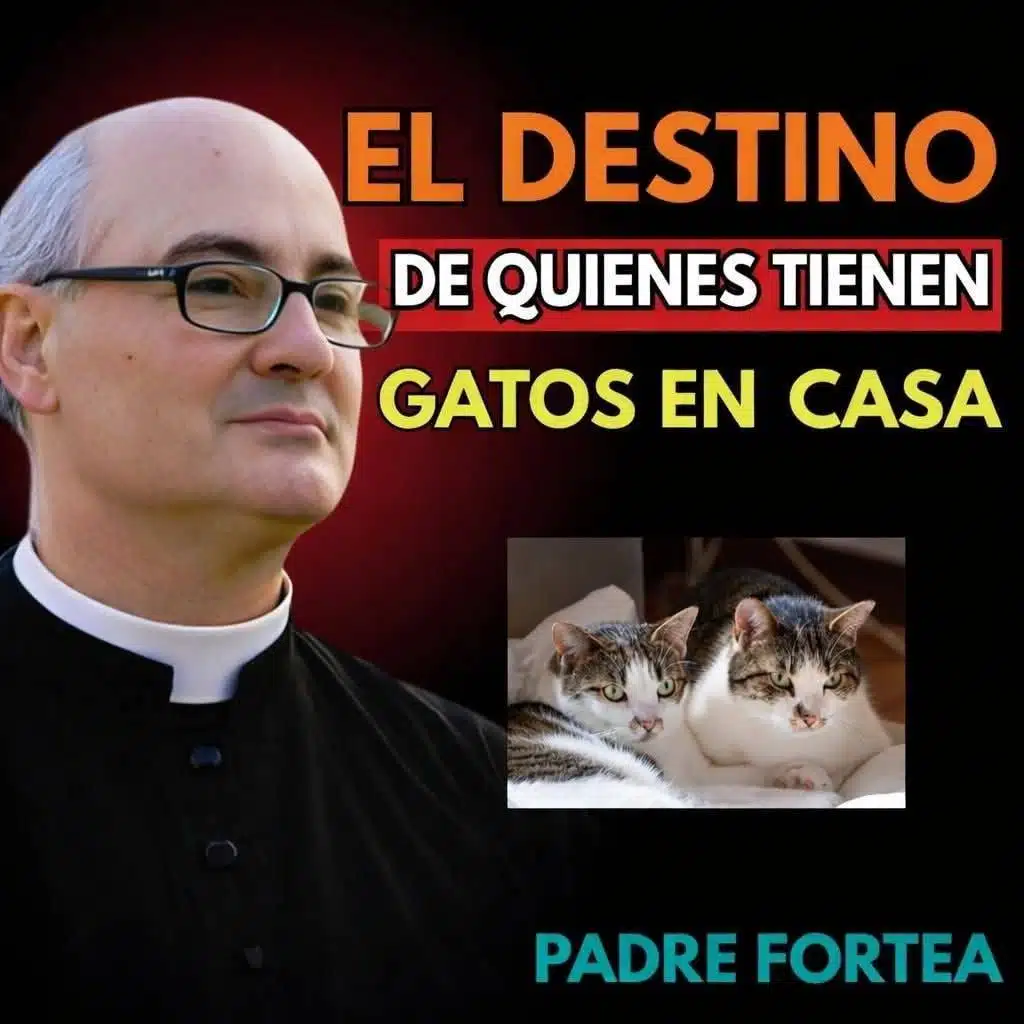 El padre Fortea reveló: El destino de quienes tienen gatos en casa. 🤔😱... Ver más