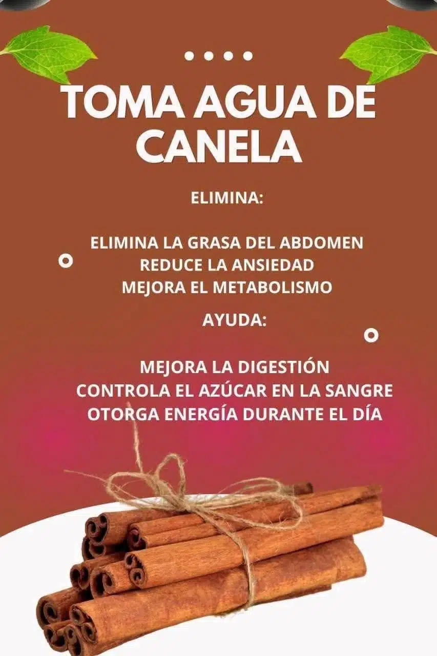 Agua de Canela: Los Sorprendentes Beneficios para Tu Salud Integral 2 Debes tomar agua de canela… Ver mas..
