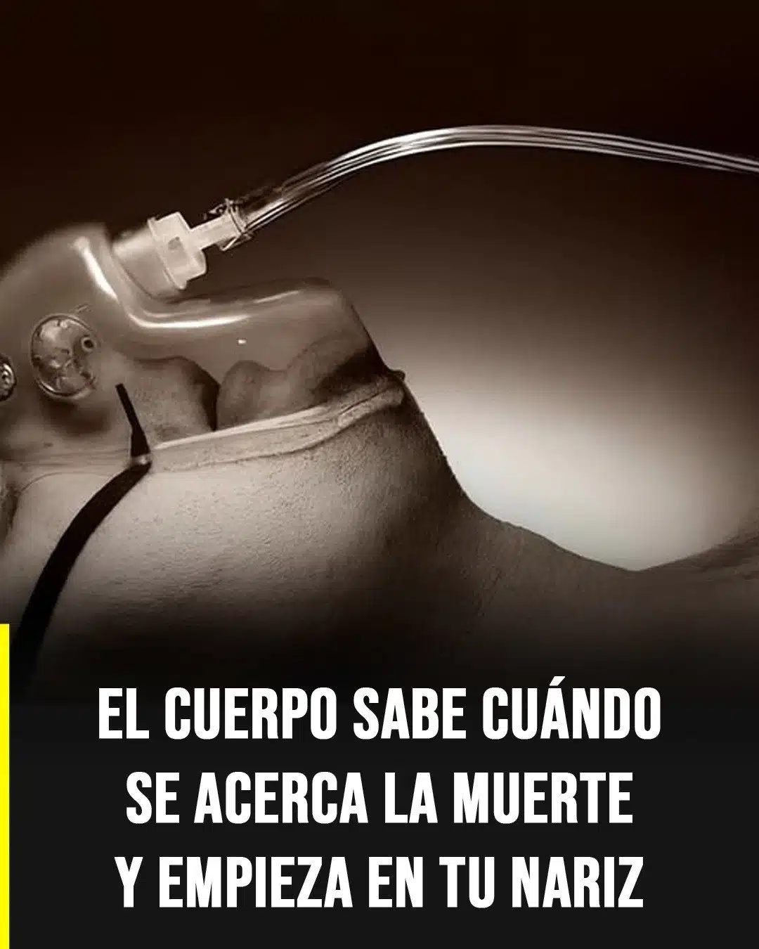 El olor que algunas personas perciben antes de la muerte: qué dice la ciencia y por qué ocurre