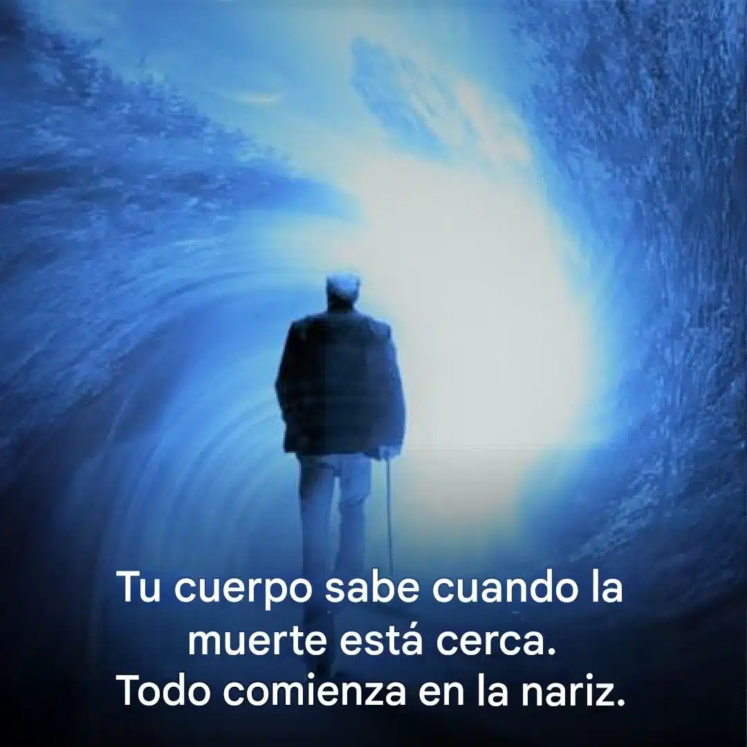 Tu cuerpo sabe cuándo se acerca la muerte. Todo empieza en la nariz... Ver más