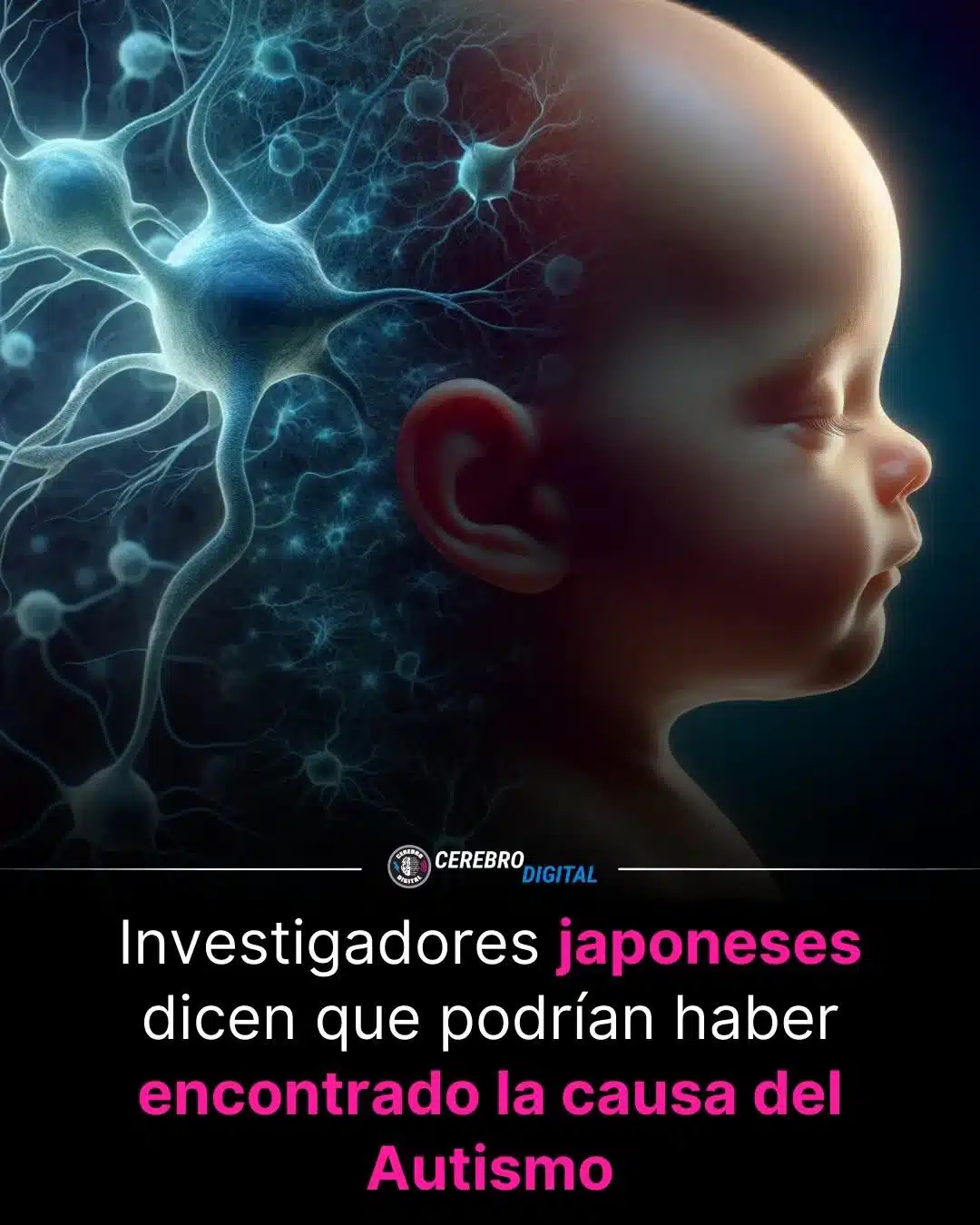 Autismo: Nueva Pista Biológica Prenatal Revelada 2 Una nueva clave biológica del autismo: Un estudio japonés sugiere una posible causa prenatal... Ver más