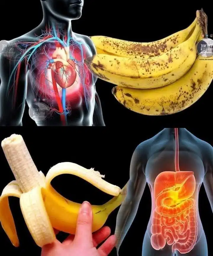 Plátano Maduro: Más de 15 Beneficios Esenciales para tu Salud y Bienestar 2 ¿Sabías que comer plátano aumenta… Ver más