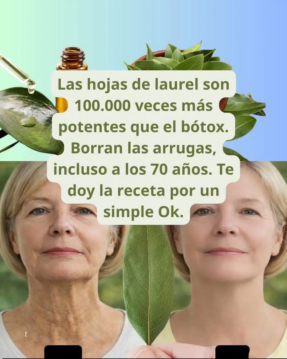 Tónico de Laurel Antiedad: El Secreto Natural para una Piel Radiante y sin Arrugas 2 El laurel