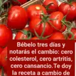 El Tomate y su Jugo: Tesoro de Salud y Bienestar Integral 8 485