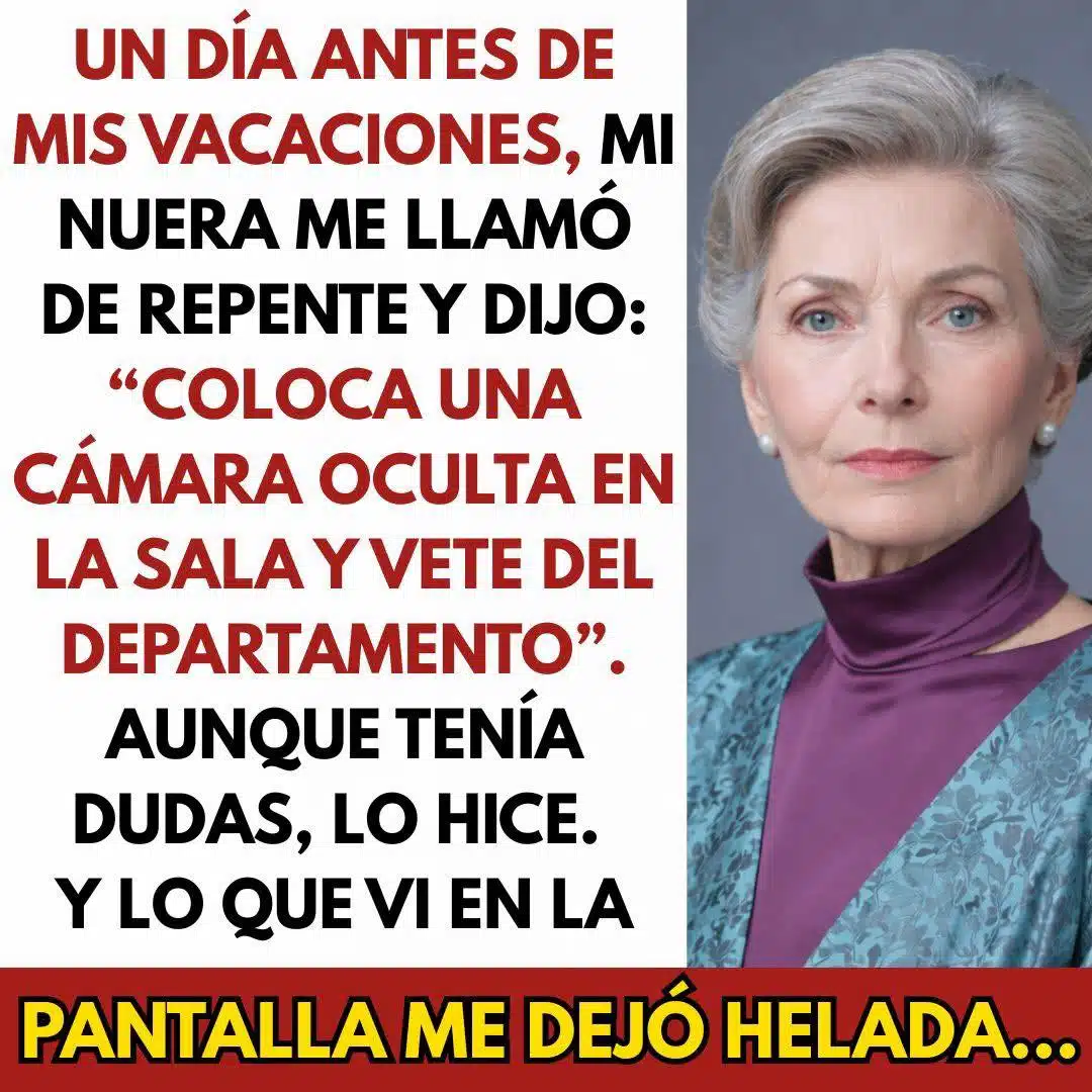 “Coloca una cámara oculta en la sala y vete del departamento”, me dijo mi nuera — y cuando… 🤔😱... Ver más