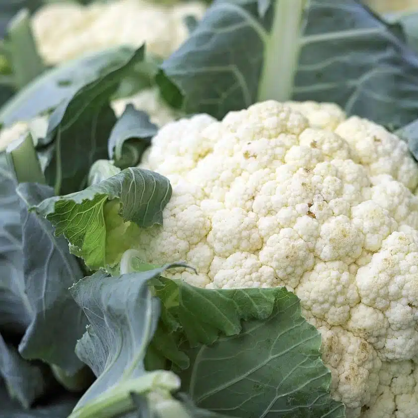 Coliflor: El Superalimento Versátil y sus Impresionantes Beneficios para la Salud 2 Los médicos revelan que la coliflor causa... ....Ver más