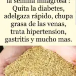 Agua de alpiste beneficios para depurar y equilibrar 6 Agua de alpiste beneficios para depurar y equilibrar