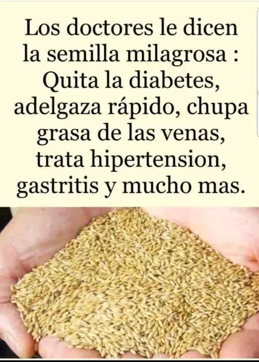 Agua de alpiste beneficios para depurar y equilibrar 2 Agua de alpiste beneficios para depurar y equilibrar