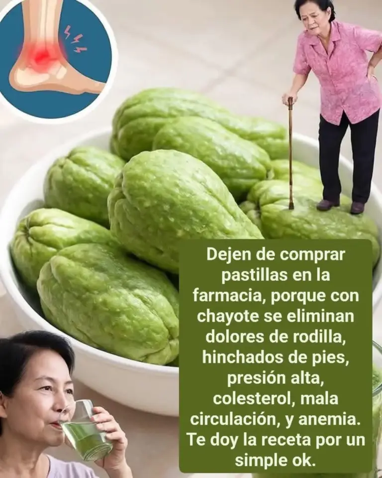 Beneficios del chayote para la salud