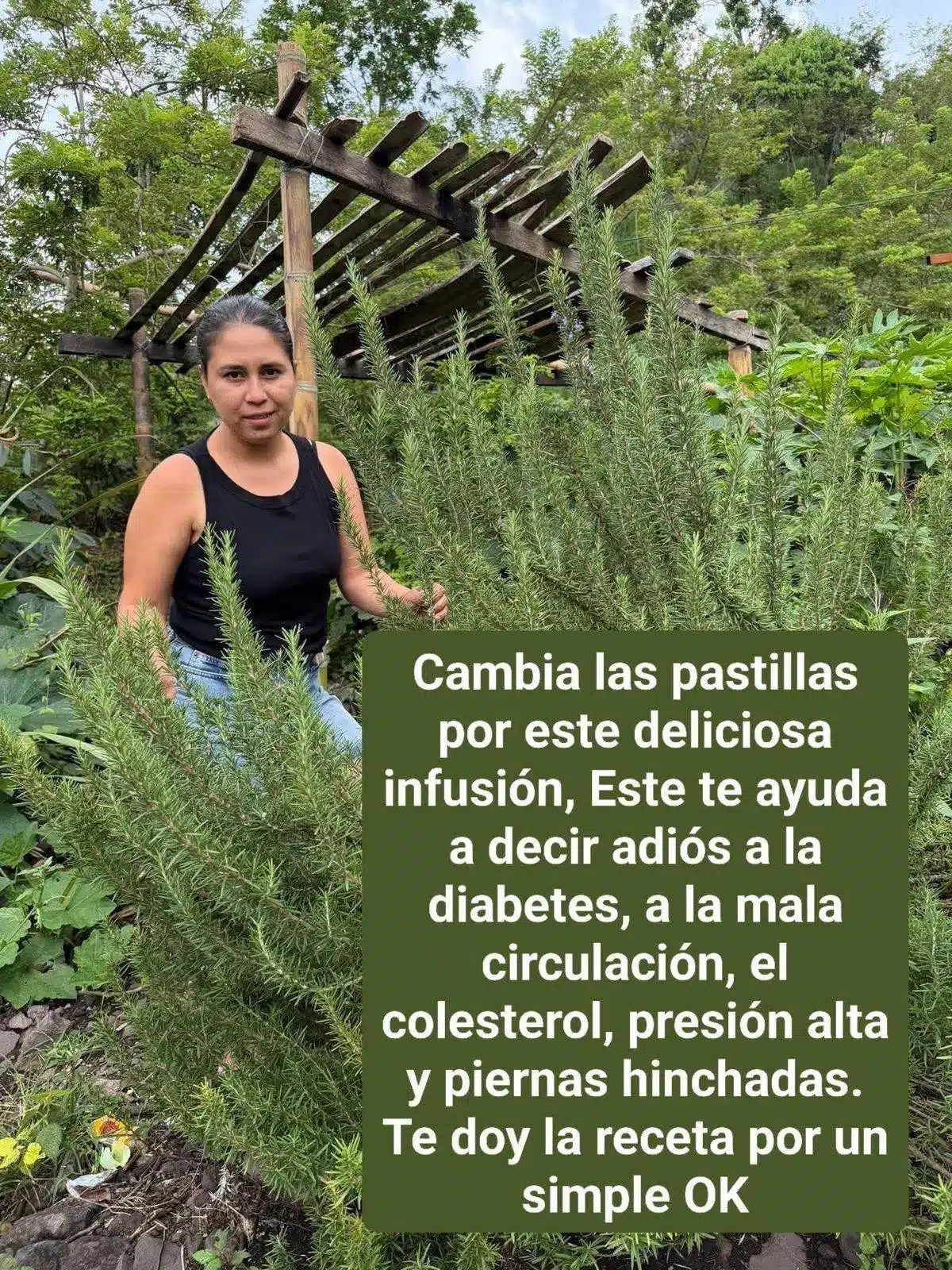 Beneficios del romero y clavo de olor
