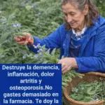 Beneficios y Usos Medicinales de la Salvia