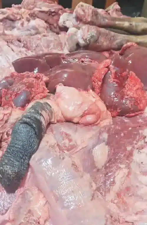 Carne engañosa: trucos que arriesgan tu salud