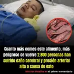 Carnes procesadas mito del daño cerebral
