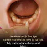Células Madre en Dientes de Leche: Potencial Médico