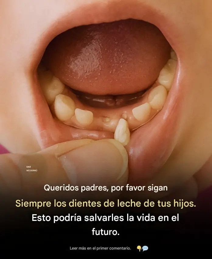 Células Madre en Dientes de Leche: Potencial Médico