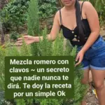Cómo preparar té de romero en casa