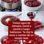 Gelatina de Hibisco con Canela y Clavo