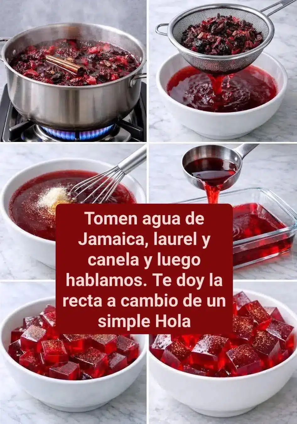 Gelatina de Hibisco con Canela y Clavo