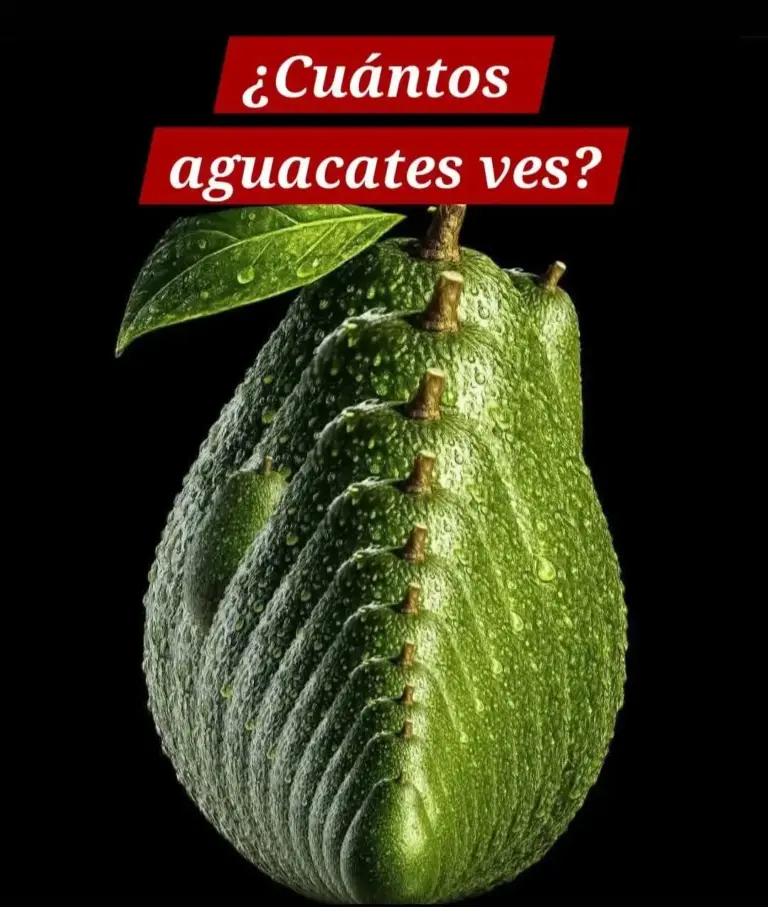 Ilusión óptica de aguacates cuántos ves