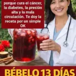Infusión de aguacate y hibisco 13 días