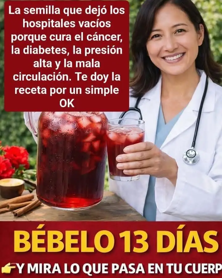 Infusión de aguacate y hibisco 13 días