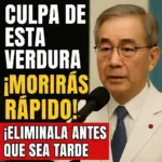 Neuro Gym Mejora Memoria y Concentración Diariamente