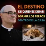 Por qué los perros duermen dentro del hogar