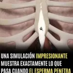 Qué ocurre al tragar esperma simulación viral TikTok 5 Qué ocurre al tragar esperma simulación viral TikTok