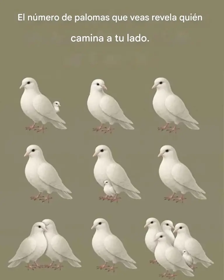Qué revela el número de palomas que ves