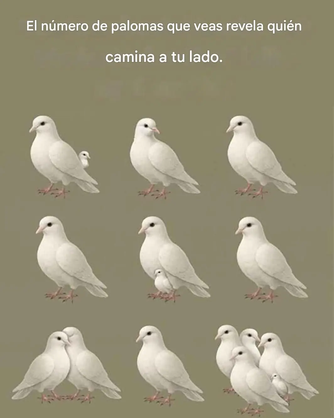 Qué revela el número de palomas que ves