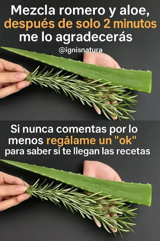 Romero y Aloe Beneficios para piel y cabello