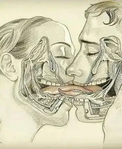 Significado del beso francés frecuente