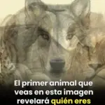 Test del primer animal y tu personalidad 5 Test del primer animal y tu personalidad