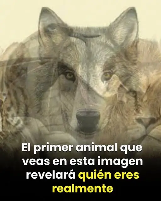 Test del primer animal y tu personalidad