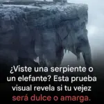 Test ilusión óptica serpiente o elefante