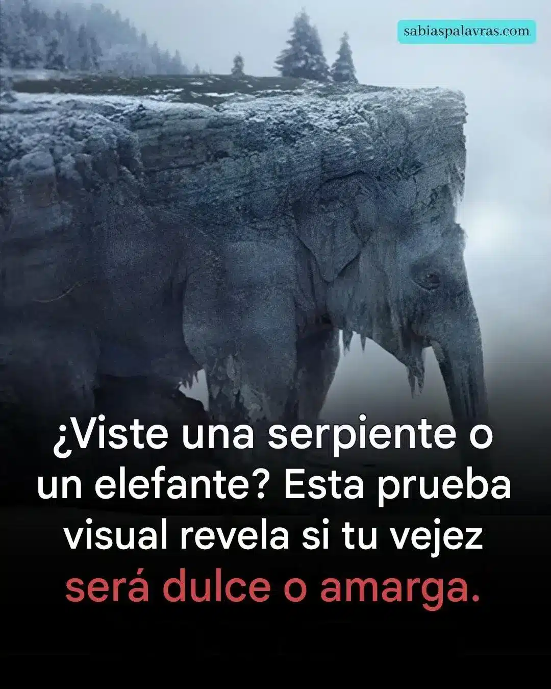 Test ilusión óptica serpiente o elefante