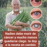 Aloe Vera: 7 Beneficios Científicos y Preparación 10 unnamed file 142