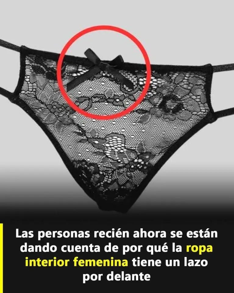 El curioso origen del lacito en la ropa interior 2 unnamed file 167