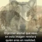 Tu animal revela quién eres. Lee más.