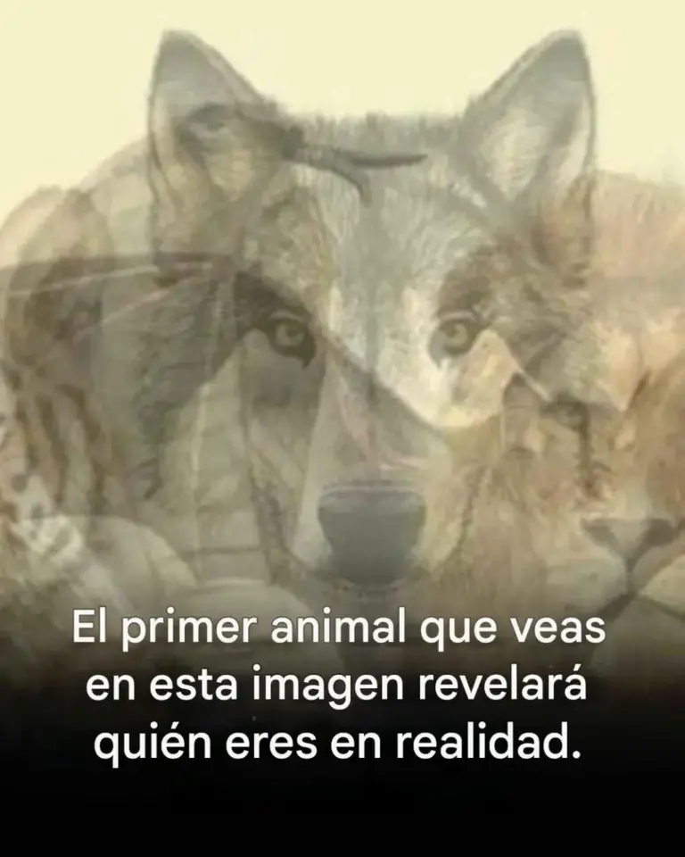 Tu animal revela quién eres. Lee más.