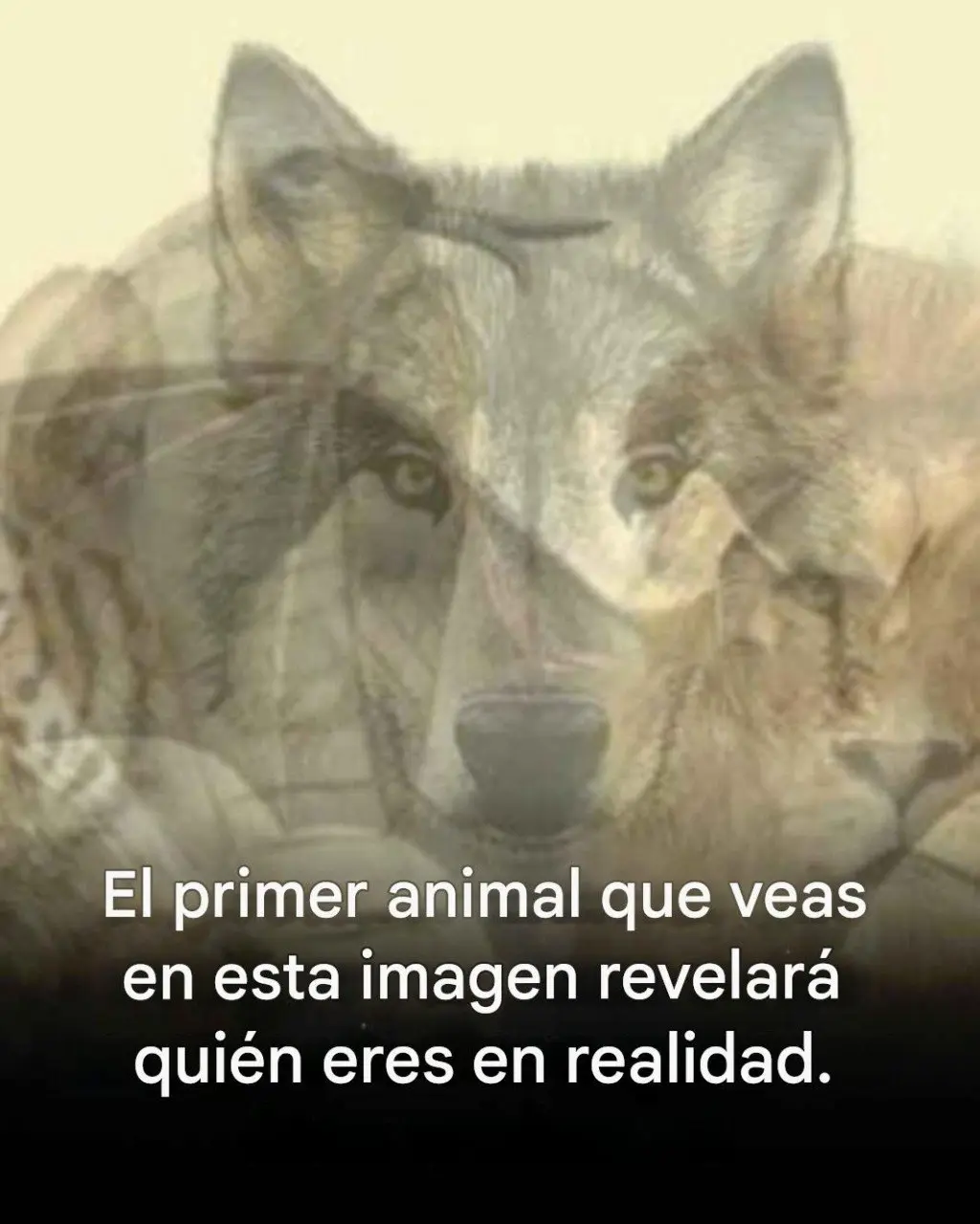 Tu animal revela quién eres. Lee más.