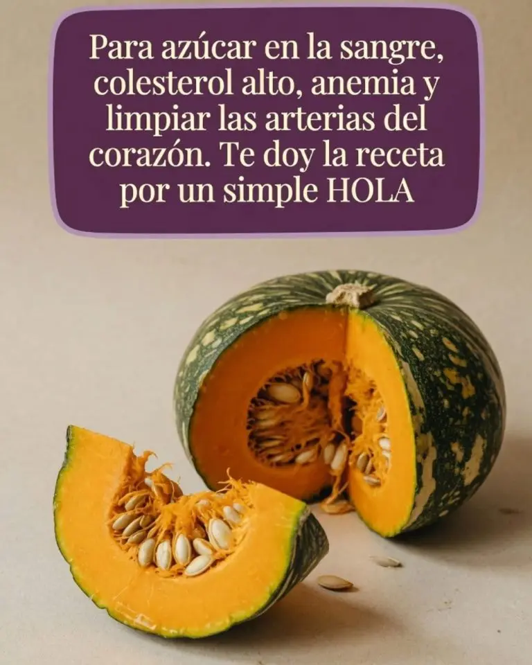 Calabaza Remedio Natural Baja Azúcar Limpia Arterias 2 Calabaza Remedio Natural Baja Azúcar Limpia Arterias
