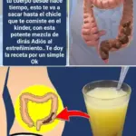 Cómo limpiar el colon con chía y miel