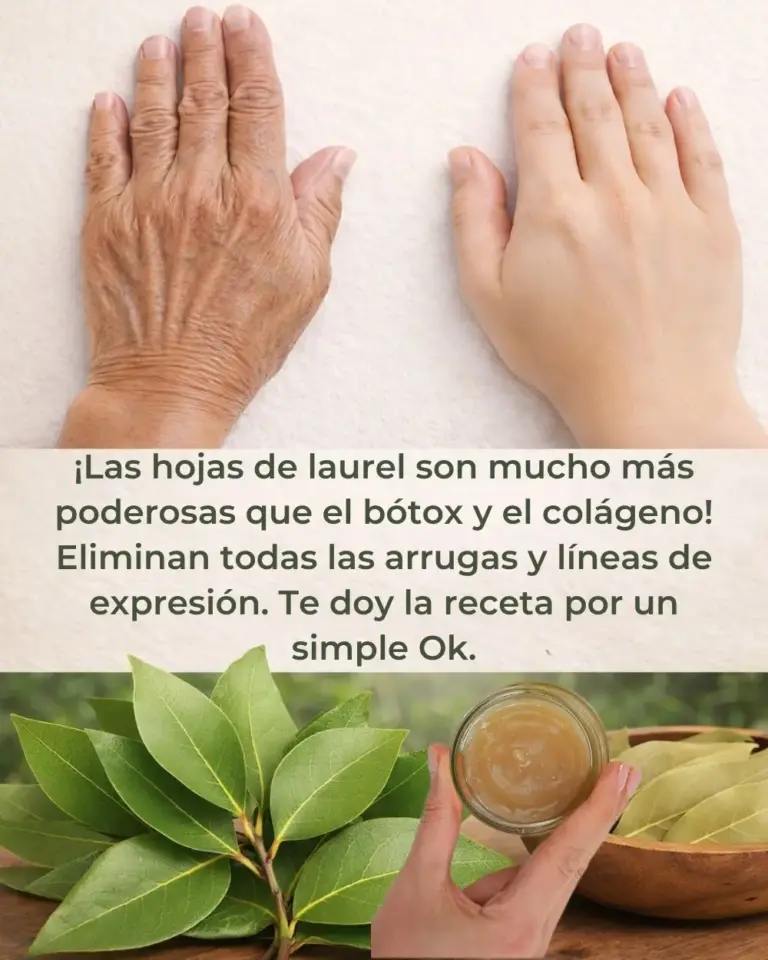 Laurel Elimina Arrugas: Más Potente que Bótox y Colágeno