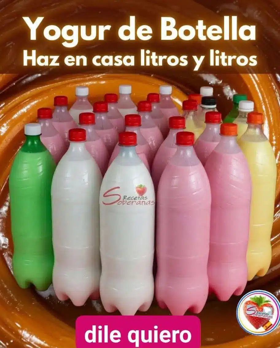 Yogur casero en licuadora: ¡haz litros!